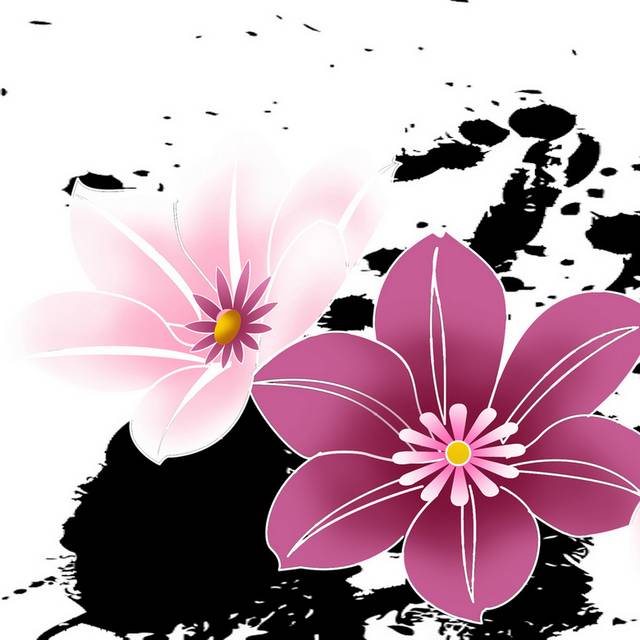黑色泼墨粉色花朵装饰画
