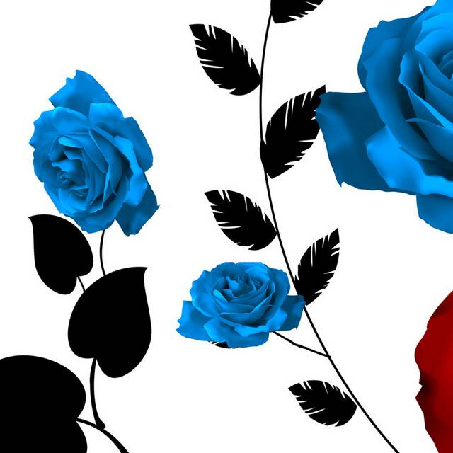 蓝红玫瑰装饰画