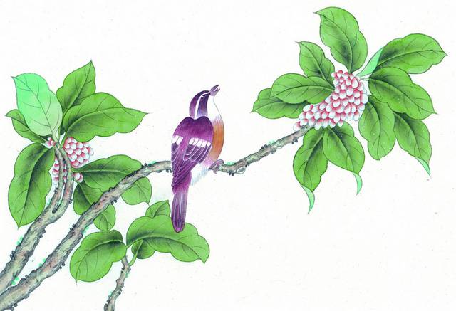 紫色鸟儿装饰画