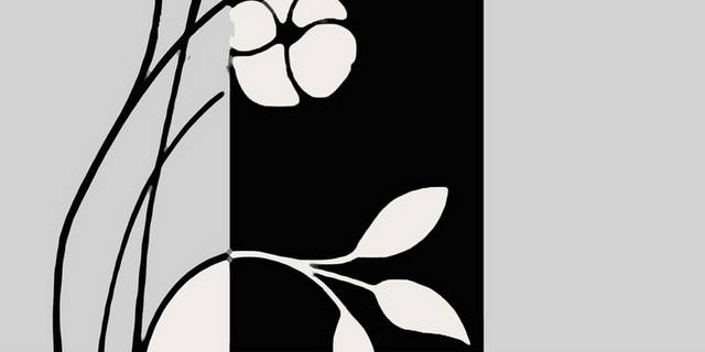 黑白图框红白花卉装饰画2