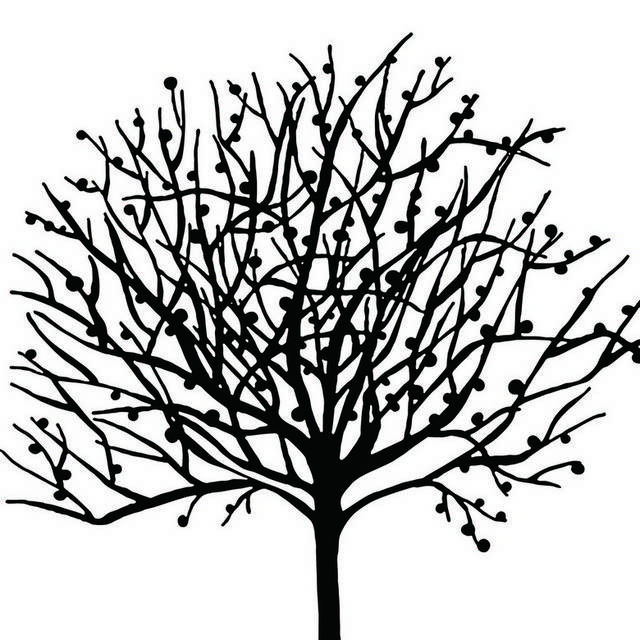 黑色手绘树枝装饰画