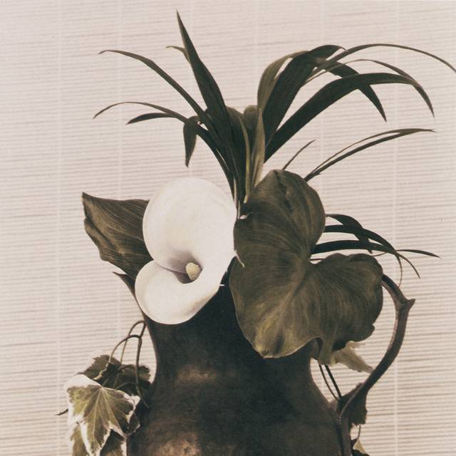 古典黑色花瓶装饰画1