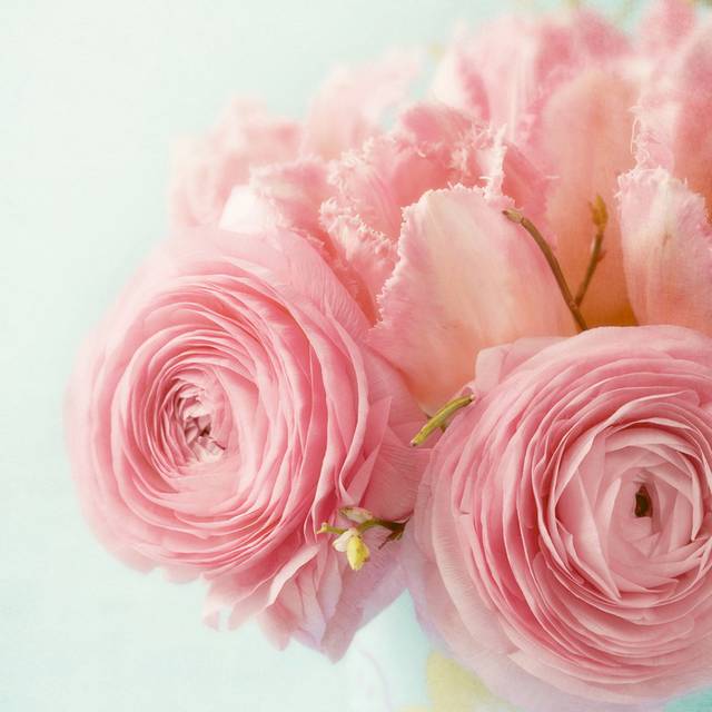 粉色鲜花装饰画素材4