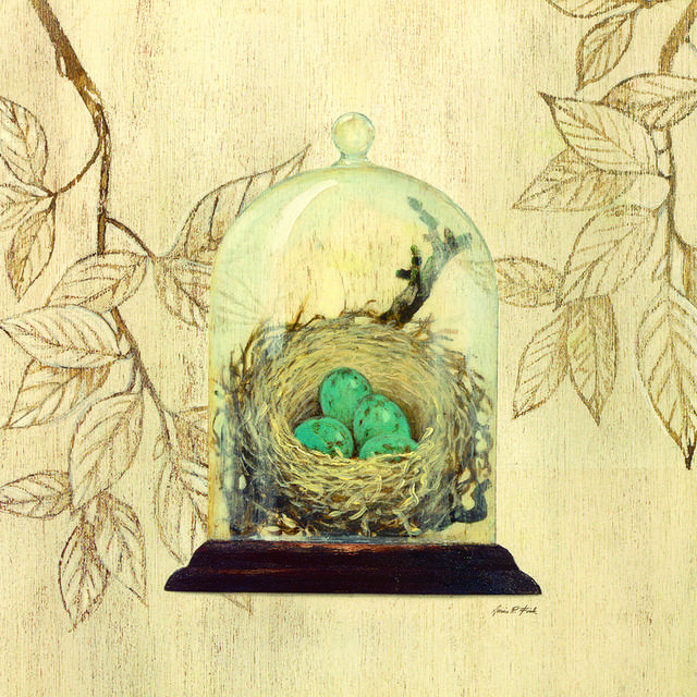 玻璃罐子里的鸟蛋装饰画