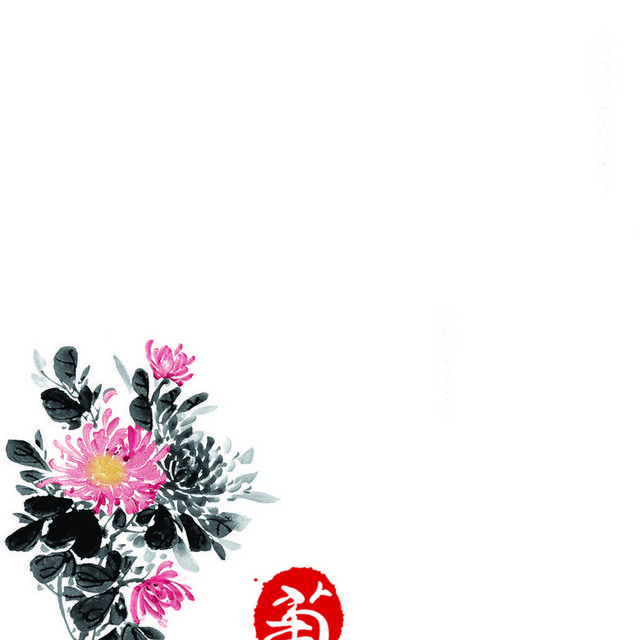 粉红菊花画