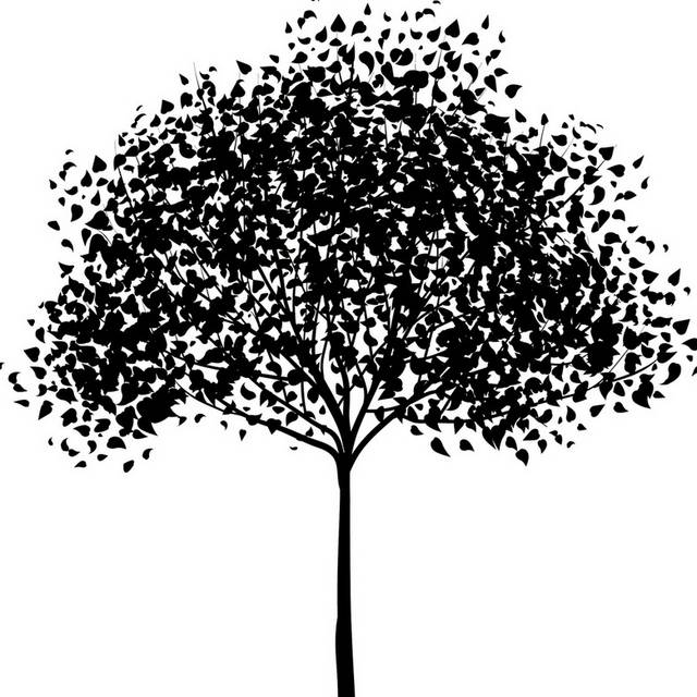 黑白树木树叶装饰画