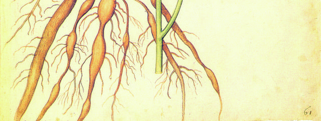 手绘粉花花卉装饰画