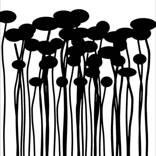 黑白菌菇装饰画1