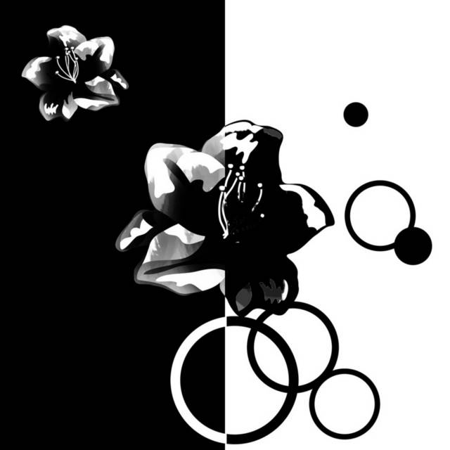 黑白花朵无框画2