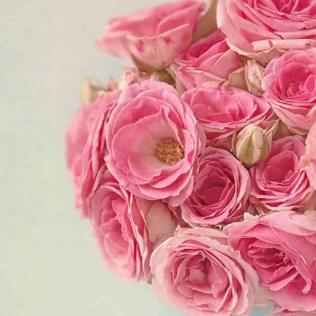 花盆玫瑰装饰画