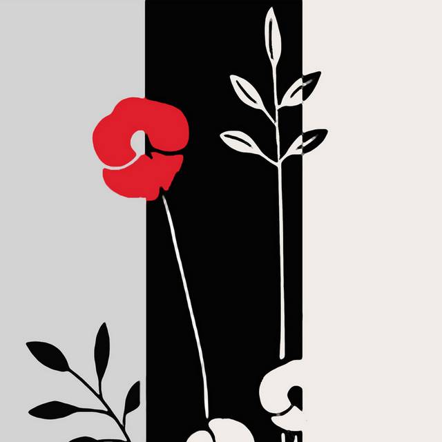 黑白图框红白花卉装饰画