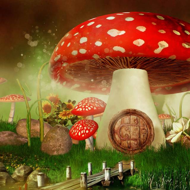 美丽精美蘑菇房子装饰画