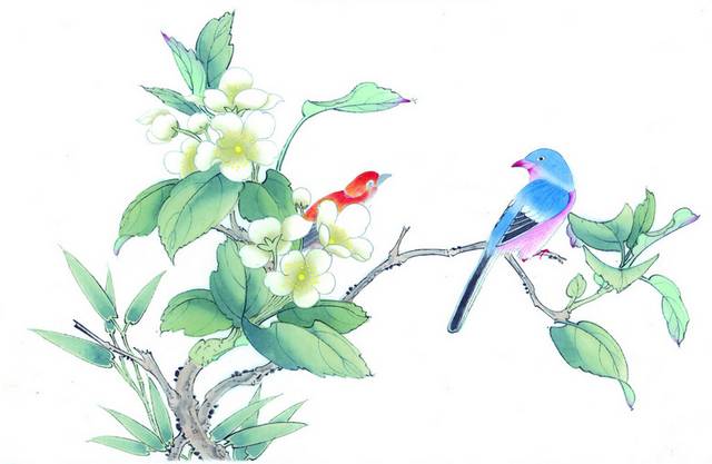 花与鸟工笔画