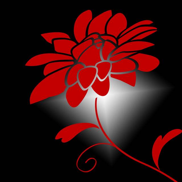 黑白渐变红色手绘花朵装饰画2