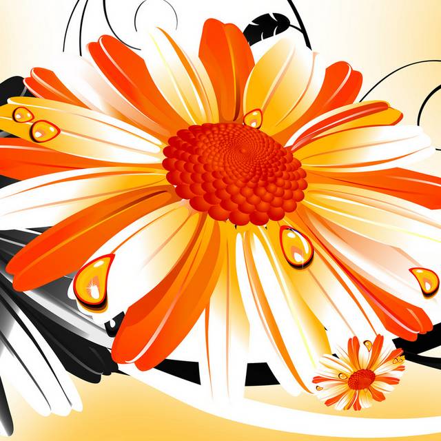 手绘橙白非洲菊装饰画1
