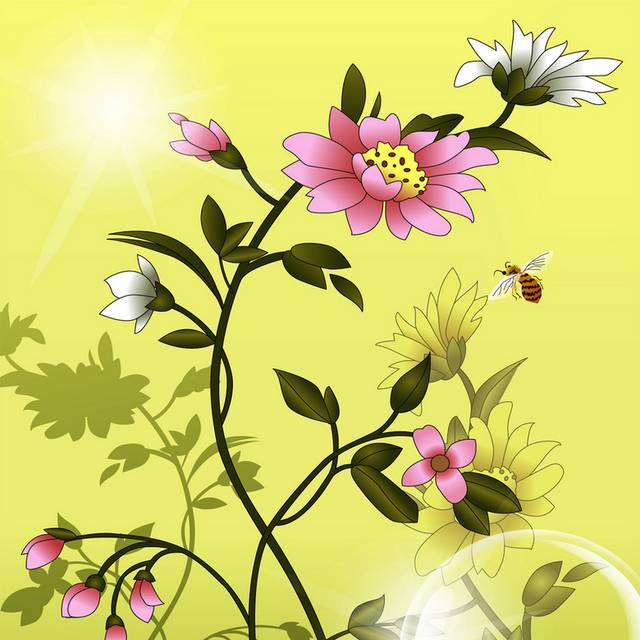 花卉昆虫装饰画1