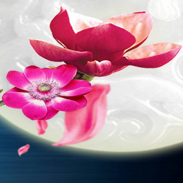 锦梅花圆月装饰画2