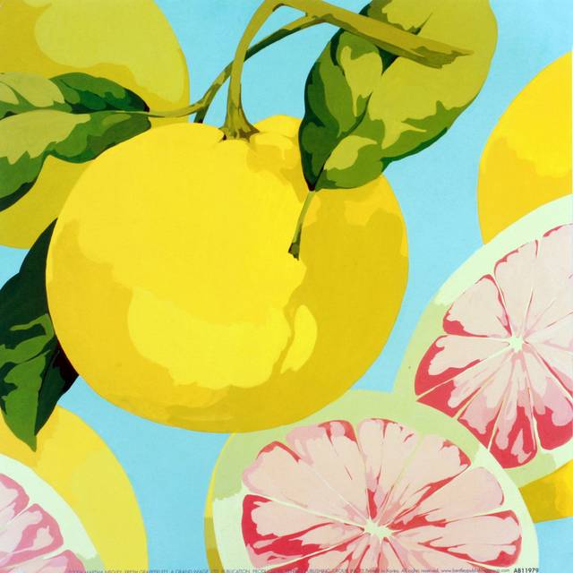 手绘柠檬装饰画1