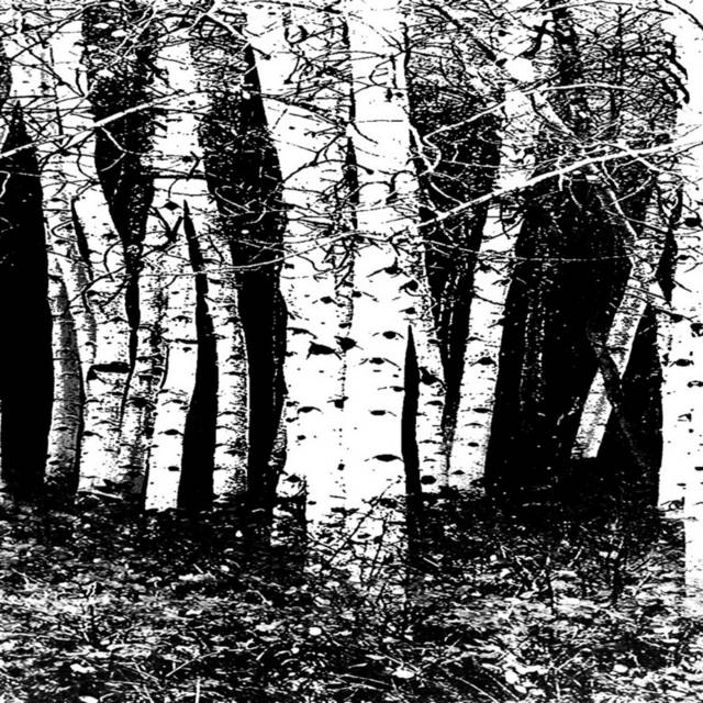创意黑白树林装饰画1