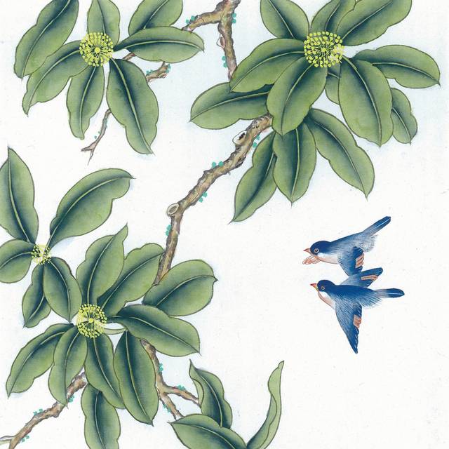 蓝鸟与树叶工笔画素材