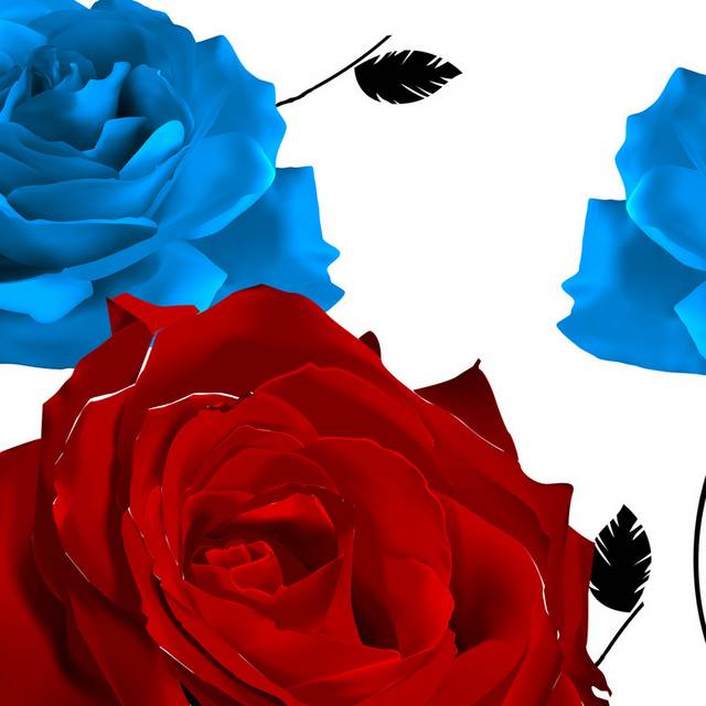 蓝红玫瑰装饰画1