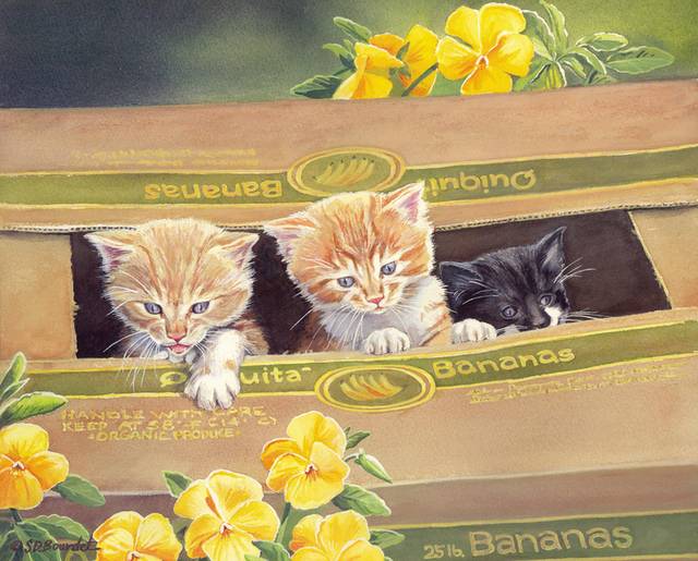 纸盒里的小猫装饰画