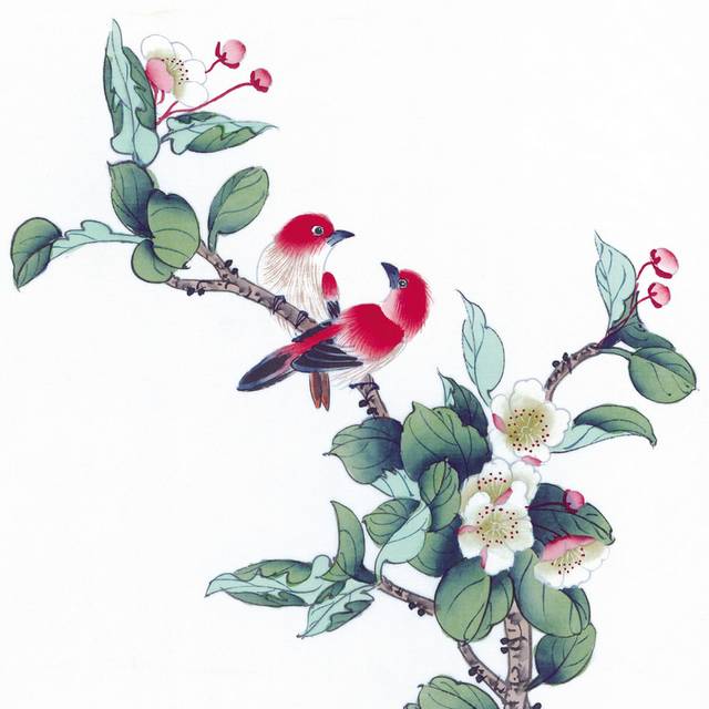 红鸟与白花工笔画素材