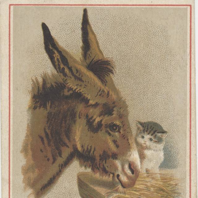 驴子小猫装饰画素材