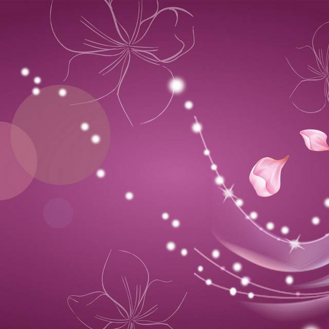 大气精美时尚紫色花瓣装饰画