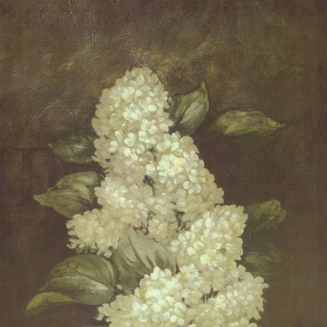 白色精致花朵装饰画3