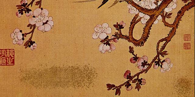 10+ 項梅花5 圖片照片檔、圖片和免版稅影像- iStock
