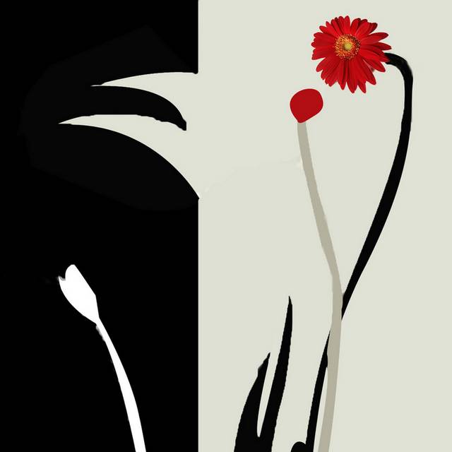 黑白抽象手绘非洲菊装饰画2