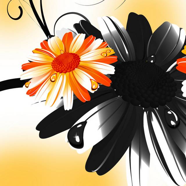 手绘橙白非洲菊装饰画