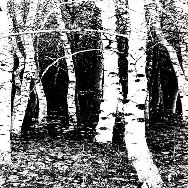 创意黑白树林装饰画2