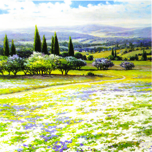 彩色白紫鲜花装饰画