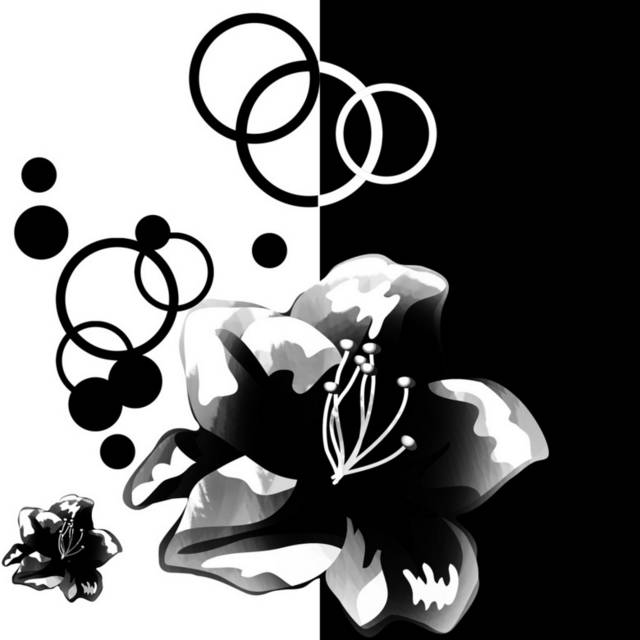 黑白花朵无框画