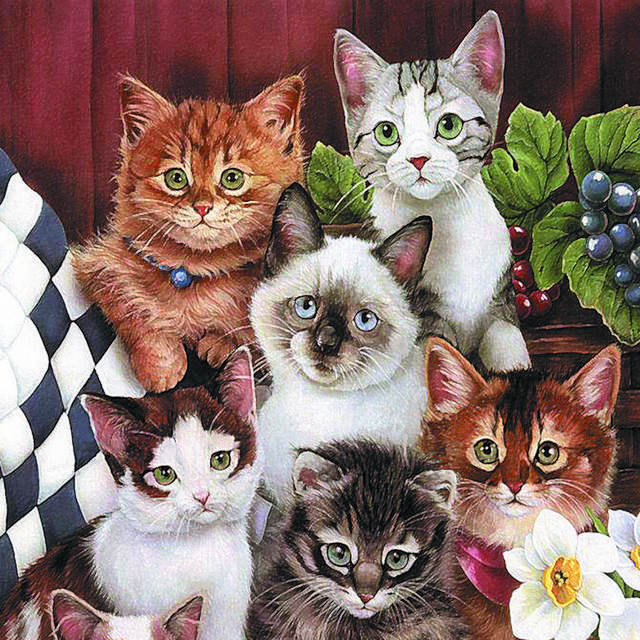 可爱小猫装饰画1