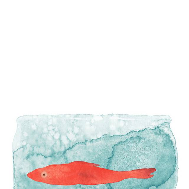 红色水彩鱼儿装饰画