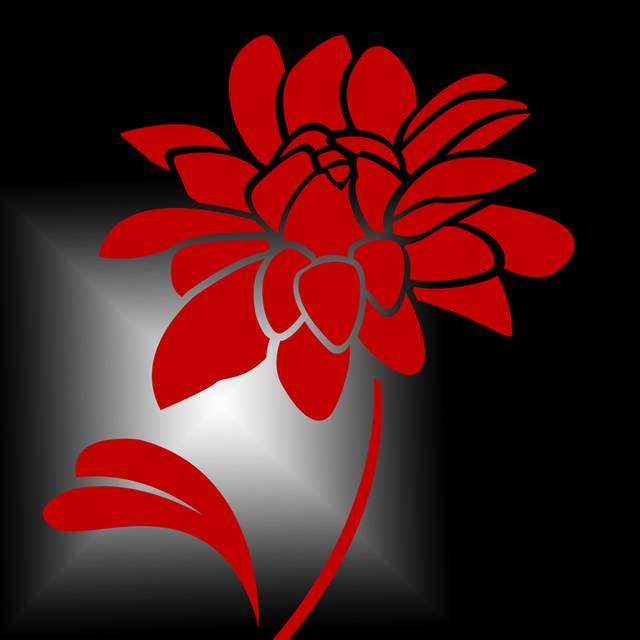 黑白渐变红色手绘花朵装饰画