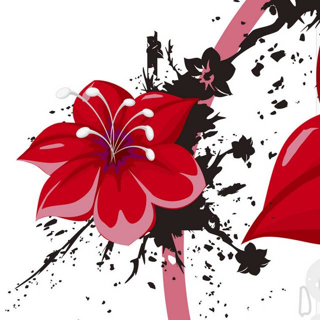 泼墨红色花朵装饰画
