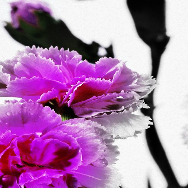 灰紫花卉装饰画1