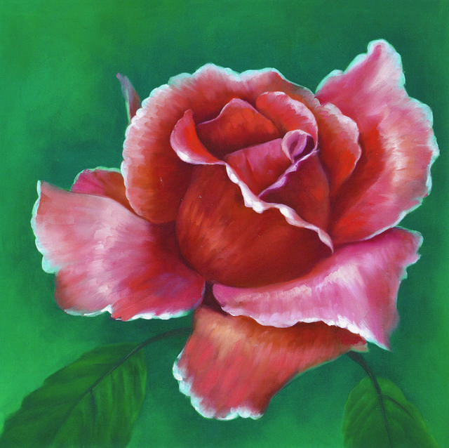 油画手绘多彩花卉装饰画4