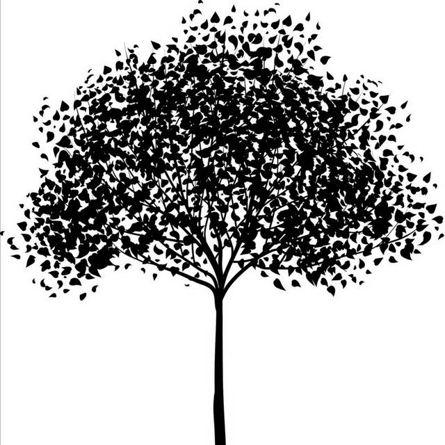 黑白树木树叶装饰画2