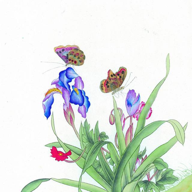 蝶恋花工笔画