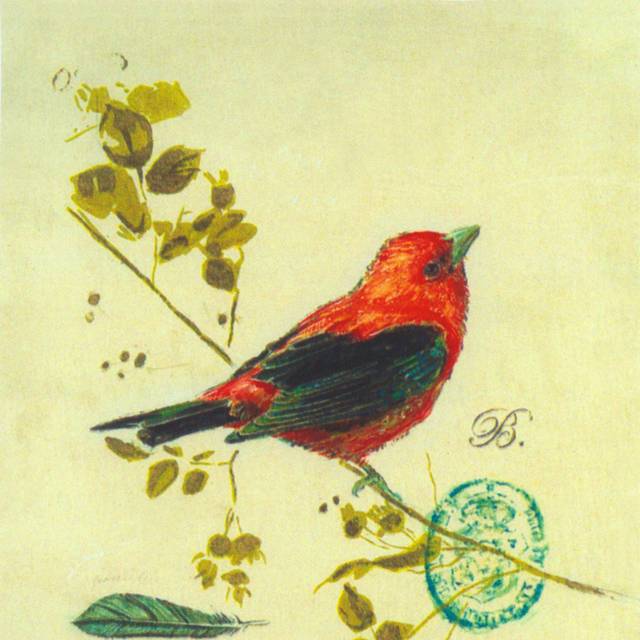 树枝多彩小鸟装饰画2