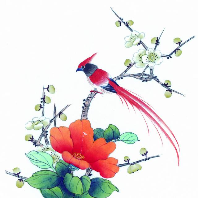 红鸟与橘色花工笔画