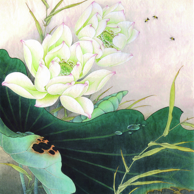 清雅莲花工笔画2