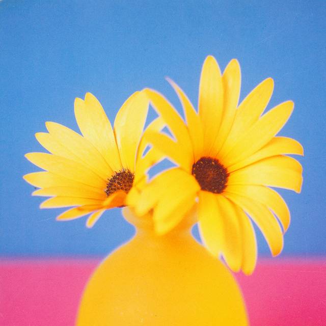花瓶里的花装饰画2