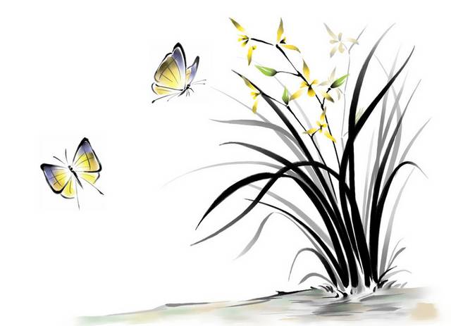 蝴蝶与兰花装饰画