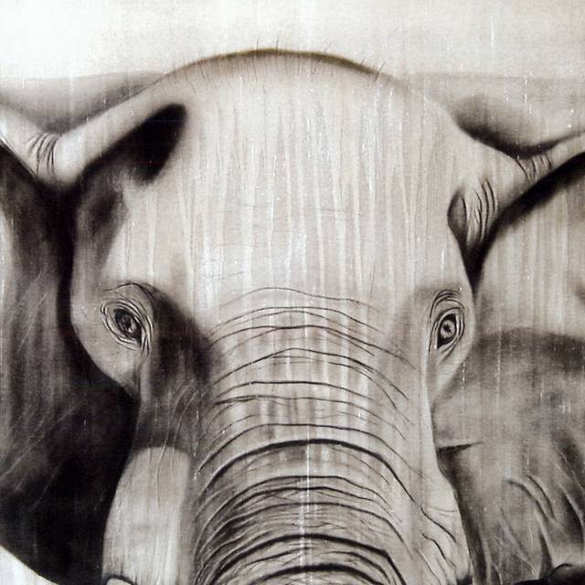 黑白大象装饰画